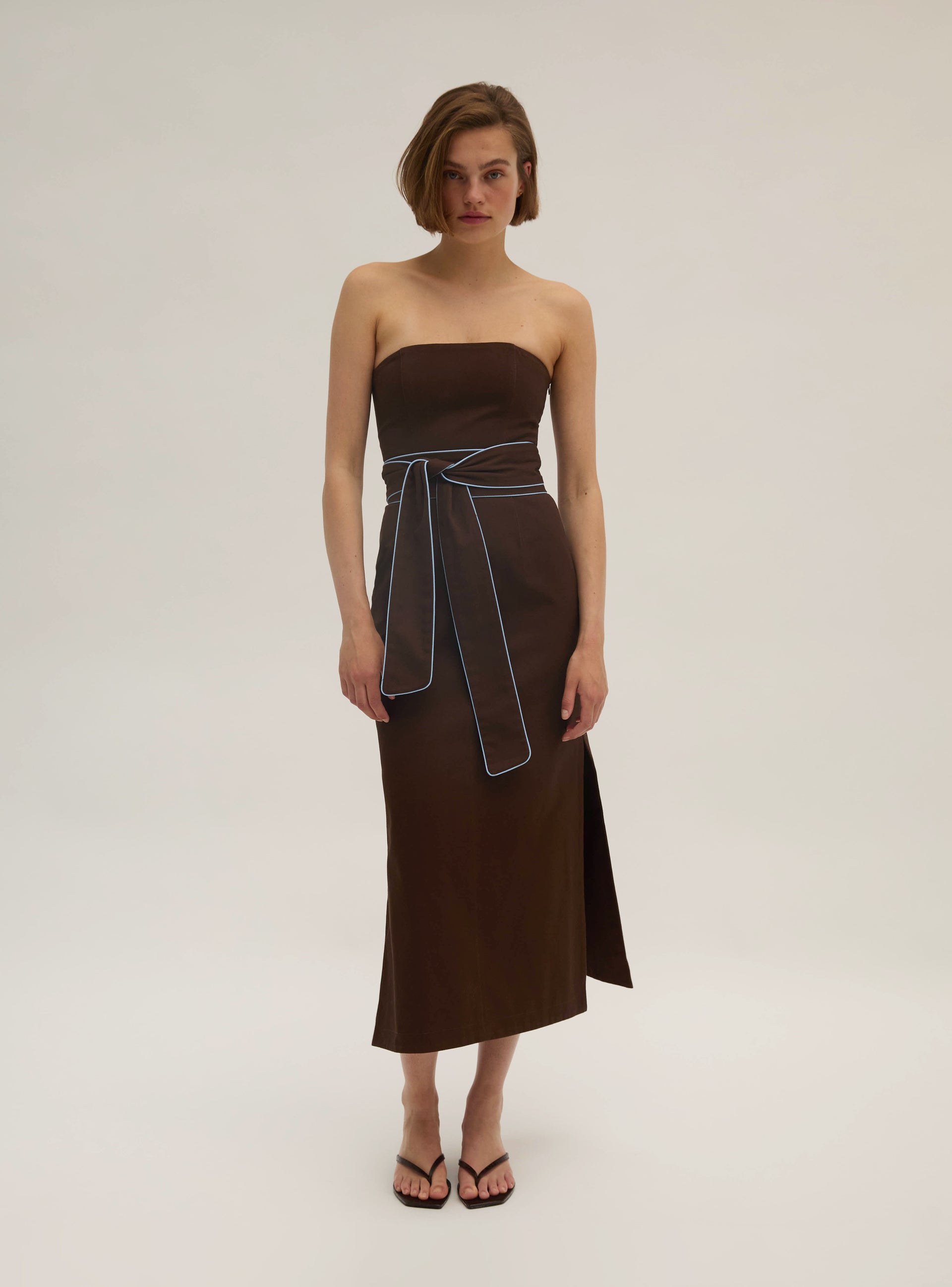 Cotton Twill Strapless Dress – anielka