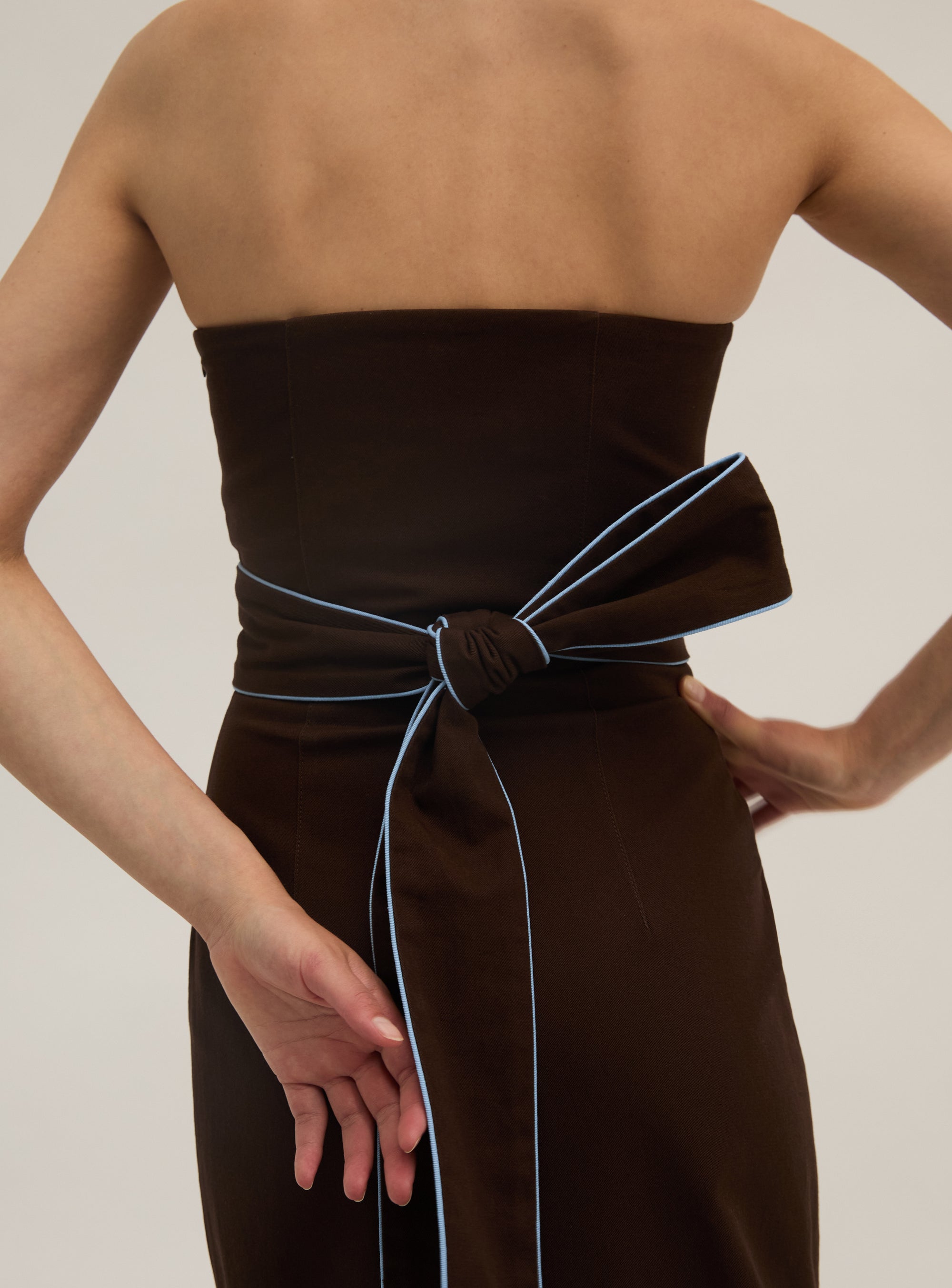 Cotton Twill Strapless Dress